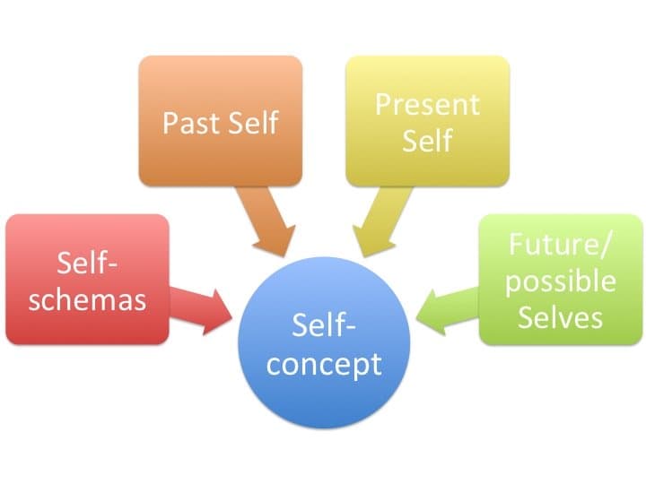 One's self-concept is made up of self-schemas, and their past, present, and future selves.